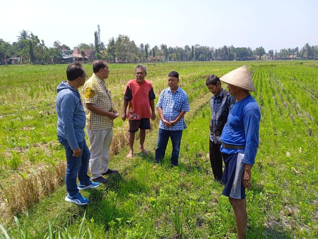 KBI Jalin Kemitraan Triple Helix Bantu Pendanaan Petani Penggarap Kedelai