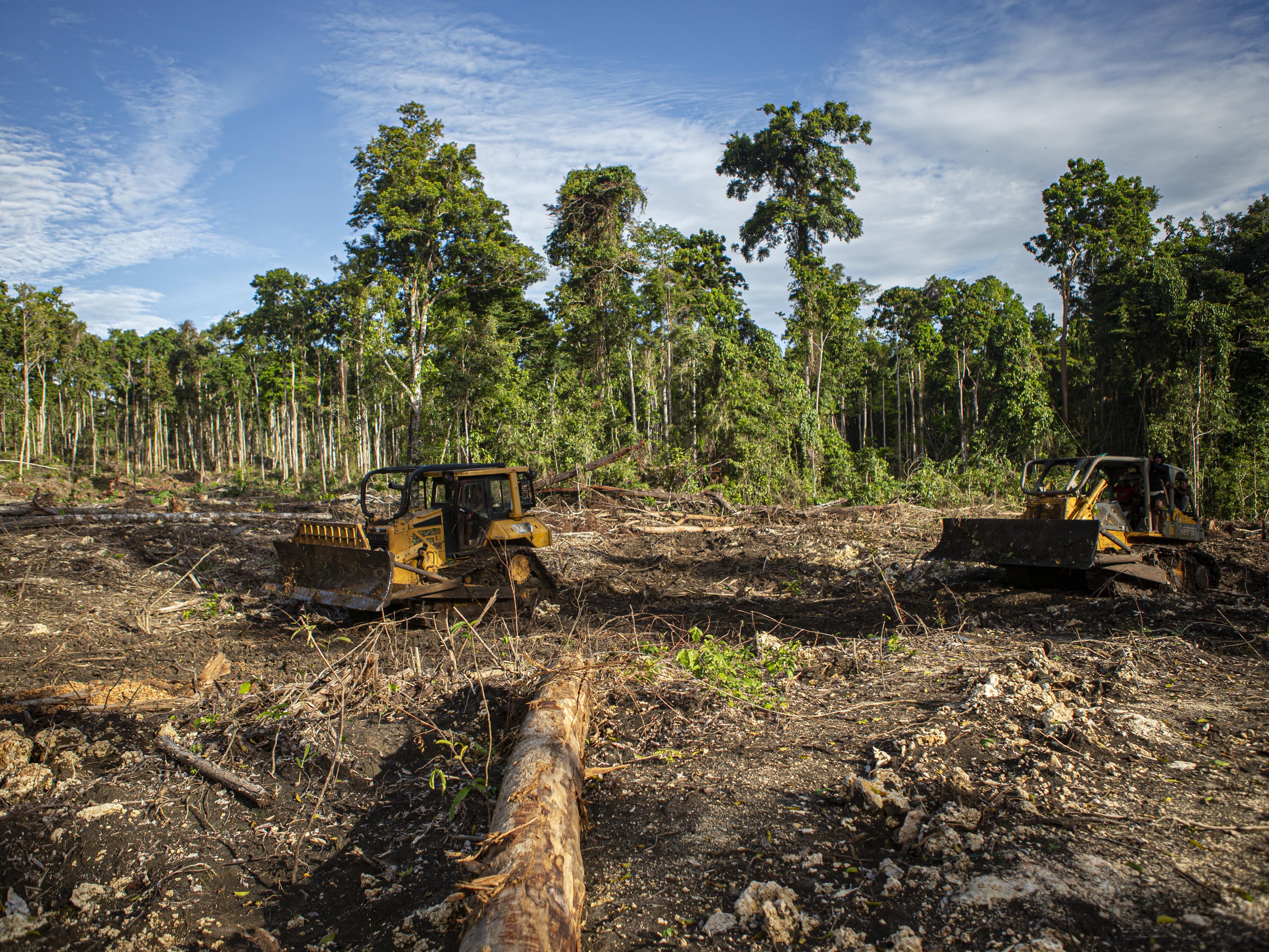 Pekerja menggunakan dua alat berat untuk membuka lahan Kawasan Pangan Nusantara di Desa Talaga, Kecamatan Dampelas, Kabupaten Donggala.