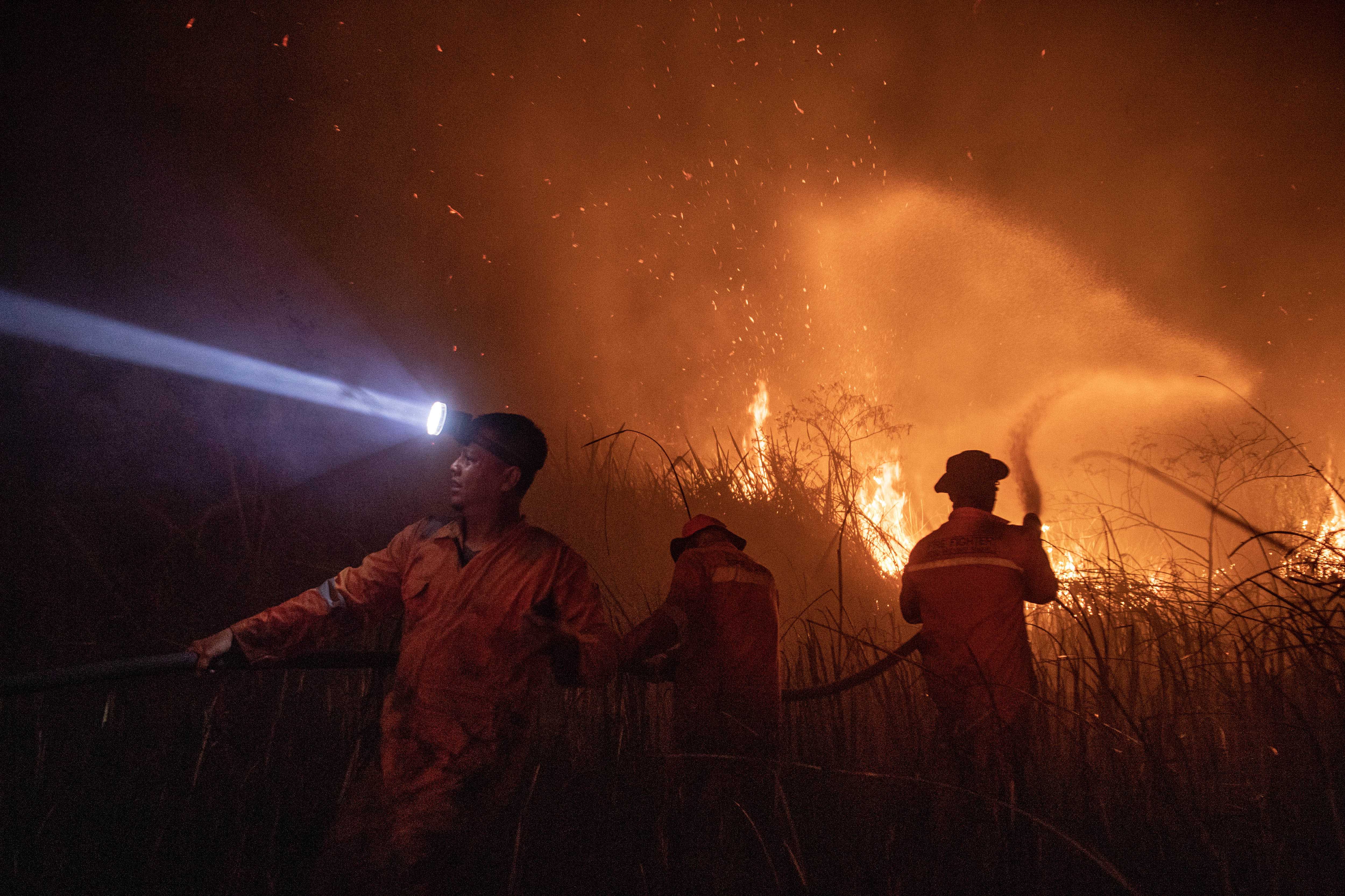 Petugas berjibaku memadamkan api karhutla di Ogan Komering Ilir, Sumsel.