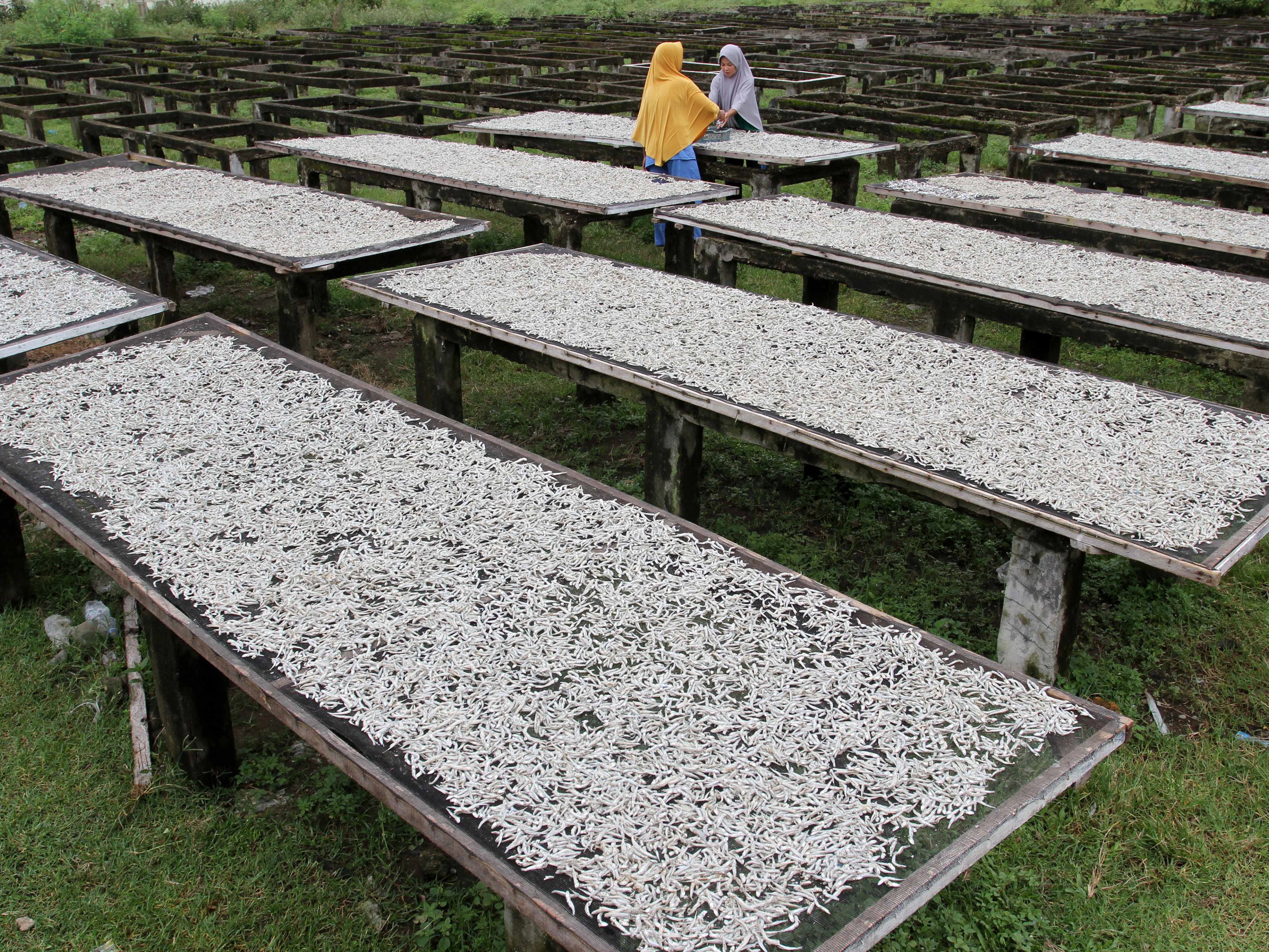 Tercatat 4,26%, Angka Kemiskinan di Padang Turun pada 2022