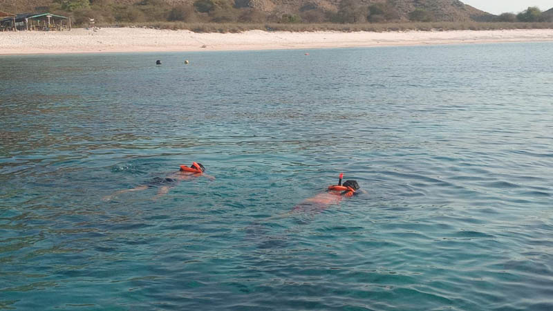 Basarnas menghentikan pencarian turis Tiongkok yang hilang di Taman Nasional Komodo si hari ketujuh.
