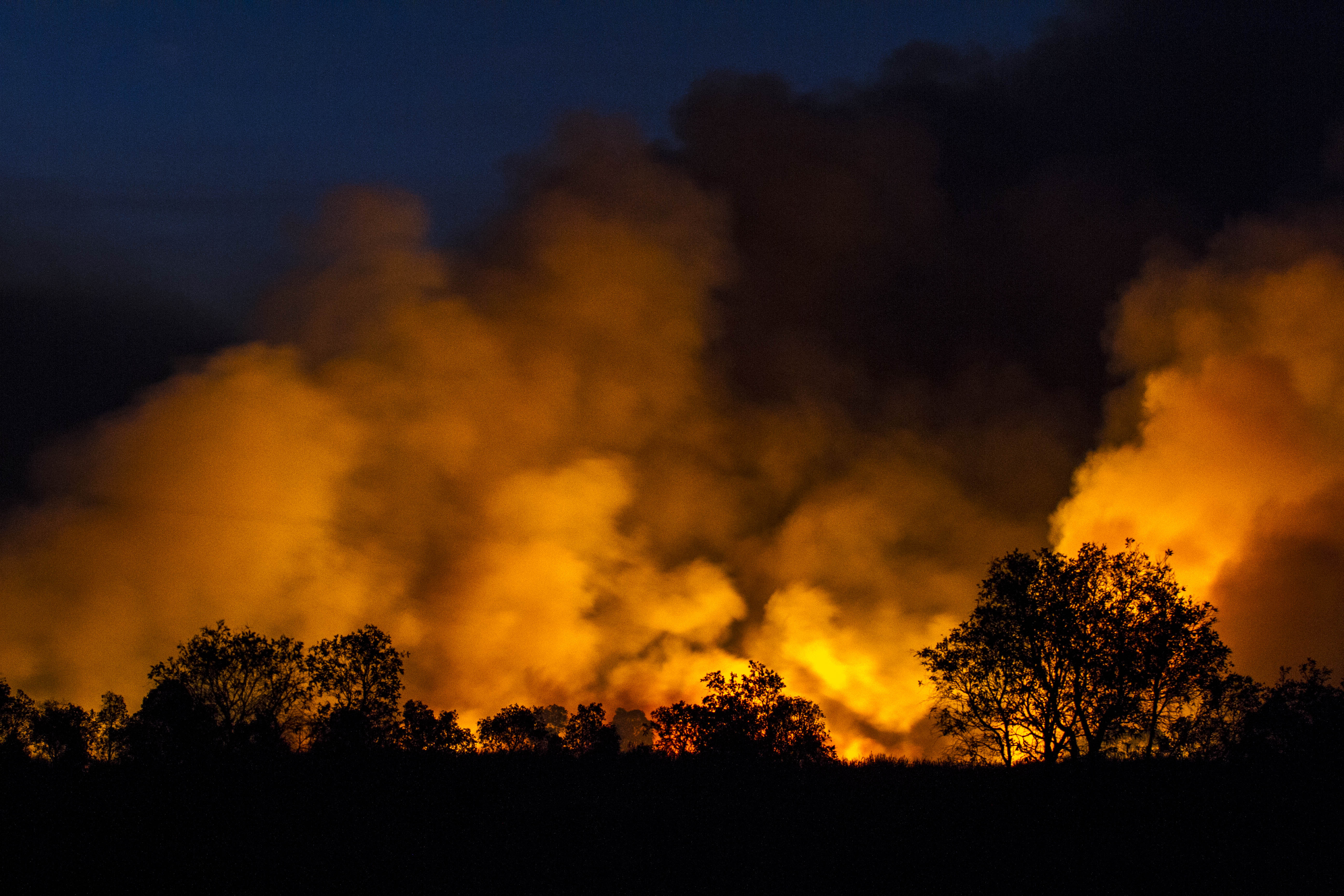 Api membakar hutan dan lahan di Kecamatan Landasan Ulin, Banjarbaru, Kalimantan Selatan, Sabtu (24/6).