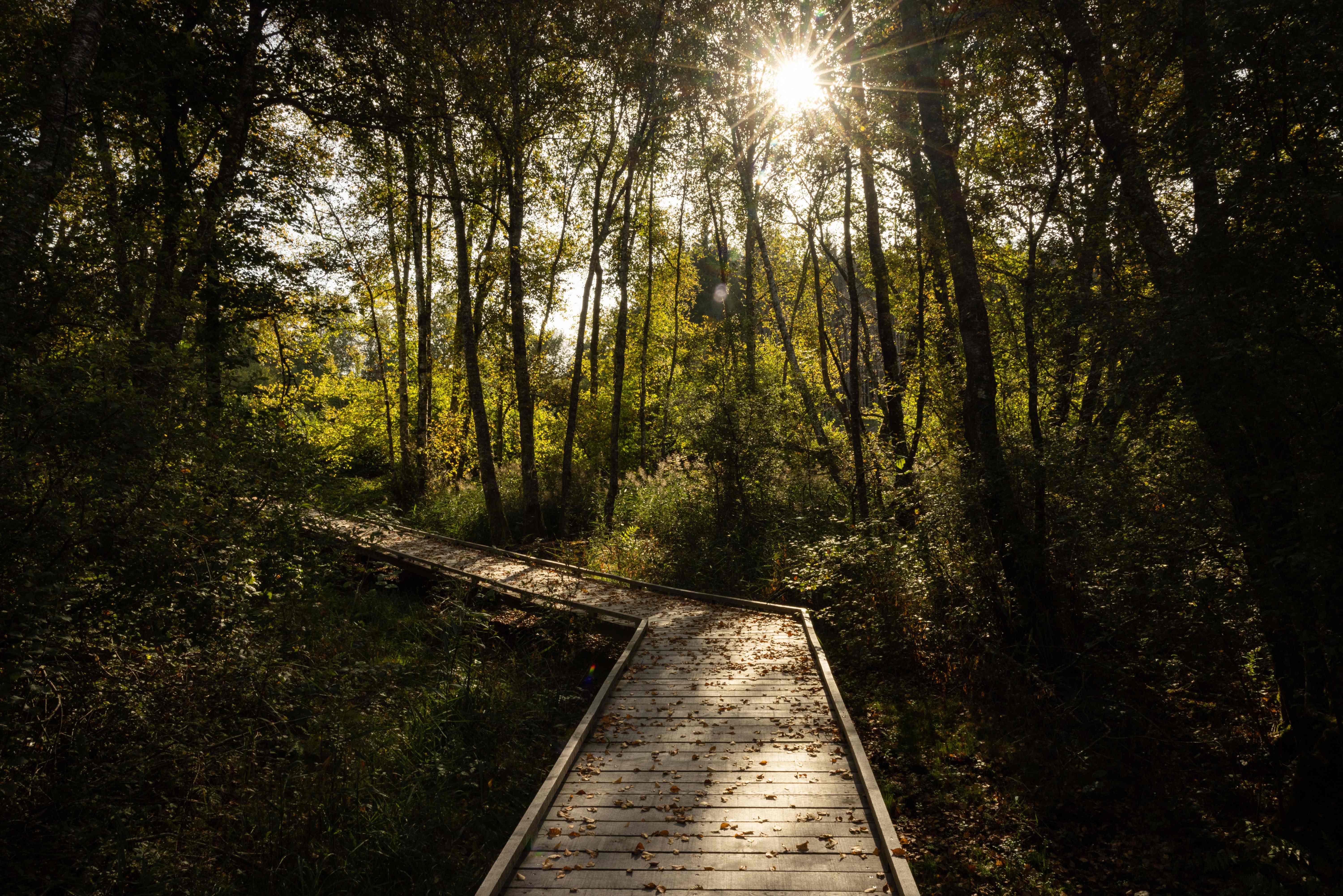 Komitmen Indonesia Lawan Perubahan Iklim