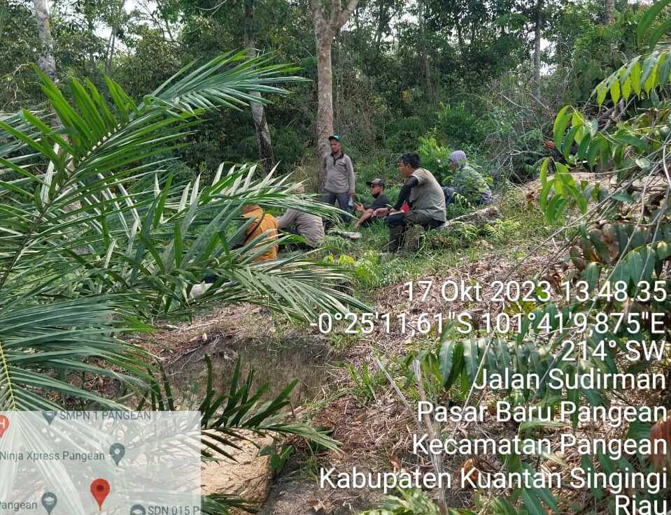 Tim BBKSDA Riau melakukan pencarian beruang yang masuk ke kebun warga di Kuansing, Riau.