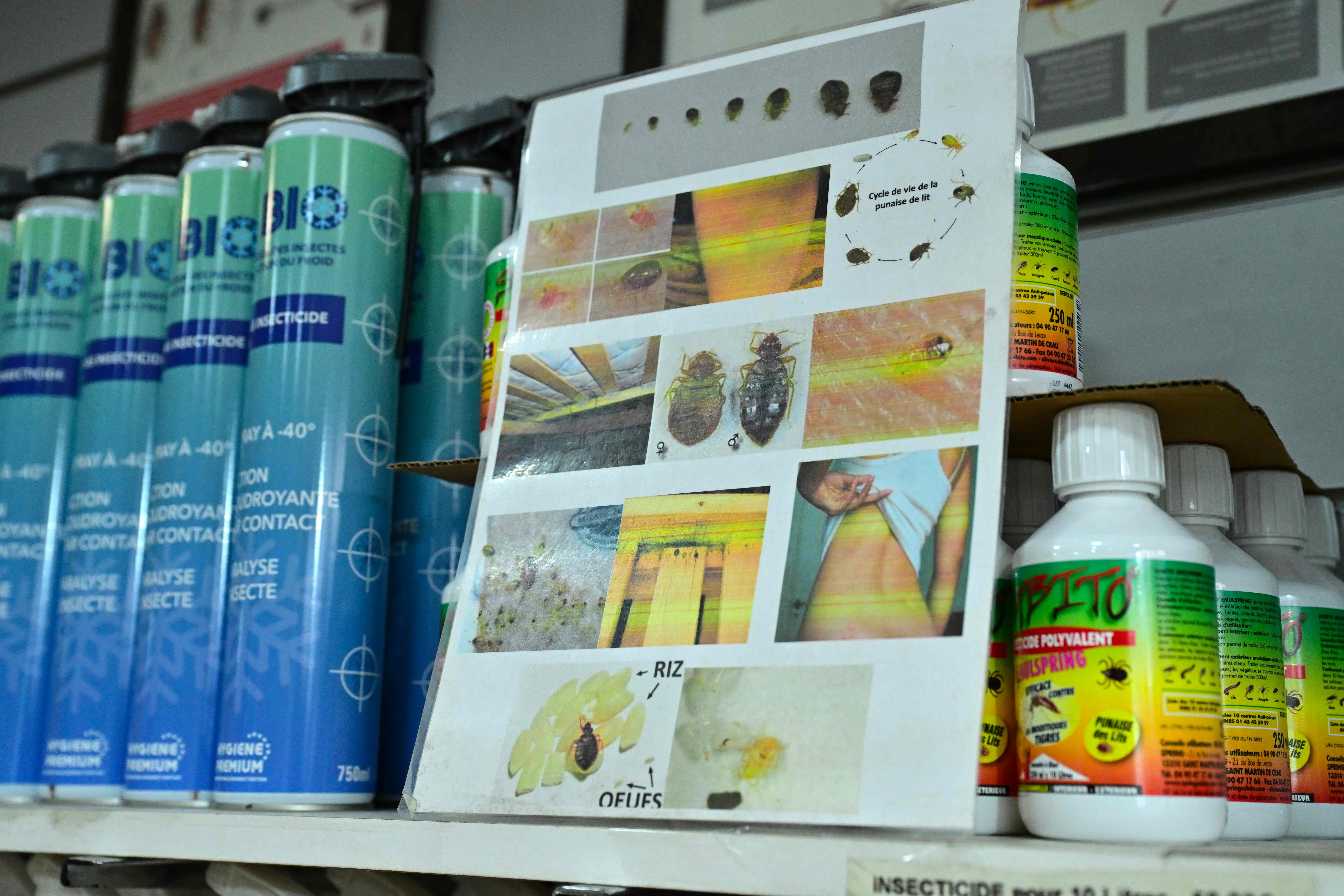 Sebuah toko di Paris, Prancis menjual berbagai produk untuk mengatasi masalah kutu busuk