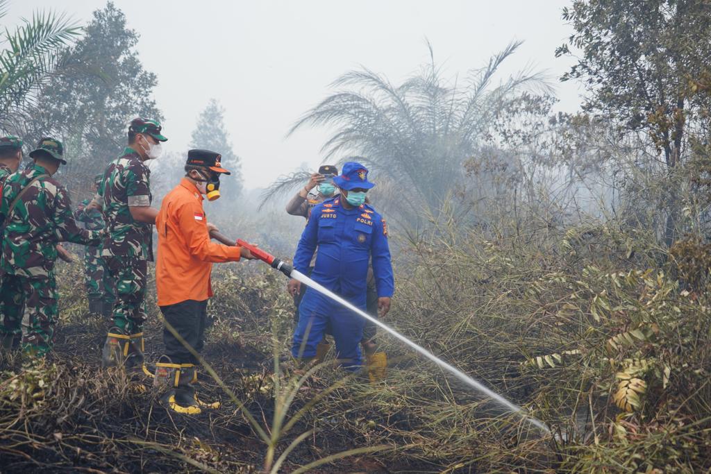 Salah satu lokasi kebakaran hutan dan lahan (karhutla) di Sumatera Selatan.