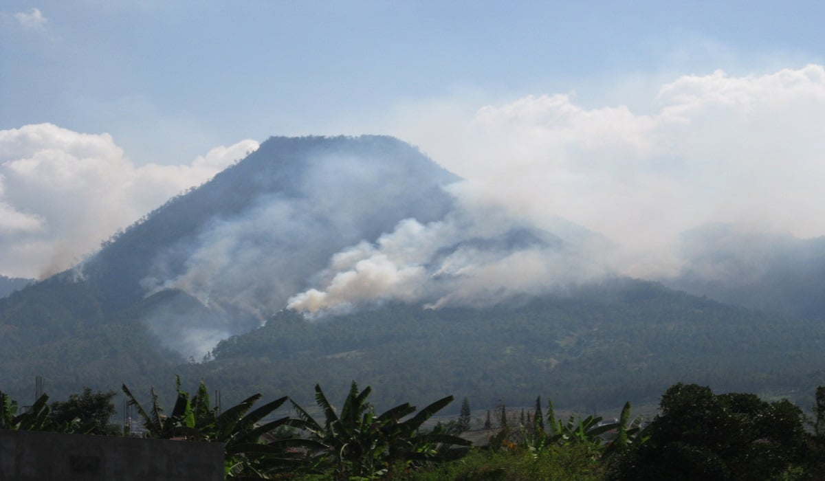 Ilustrasi kebakaran di Gunung Panderman, Kota Batu, Jawa Timur