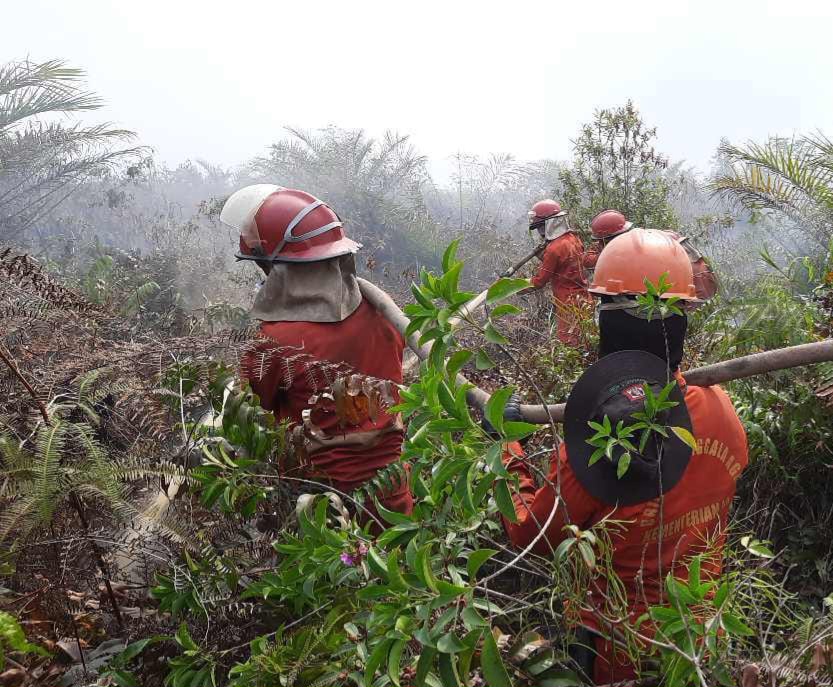 Petugas berupaya memadamkan Karhutla di Ogan Komering Ilir, Sumsel