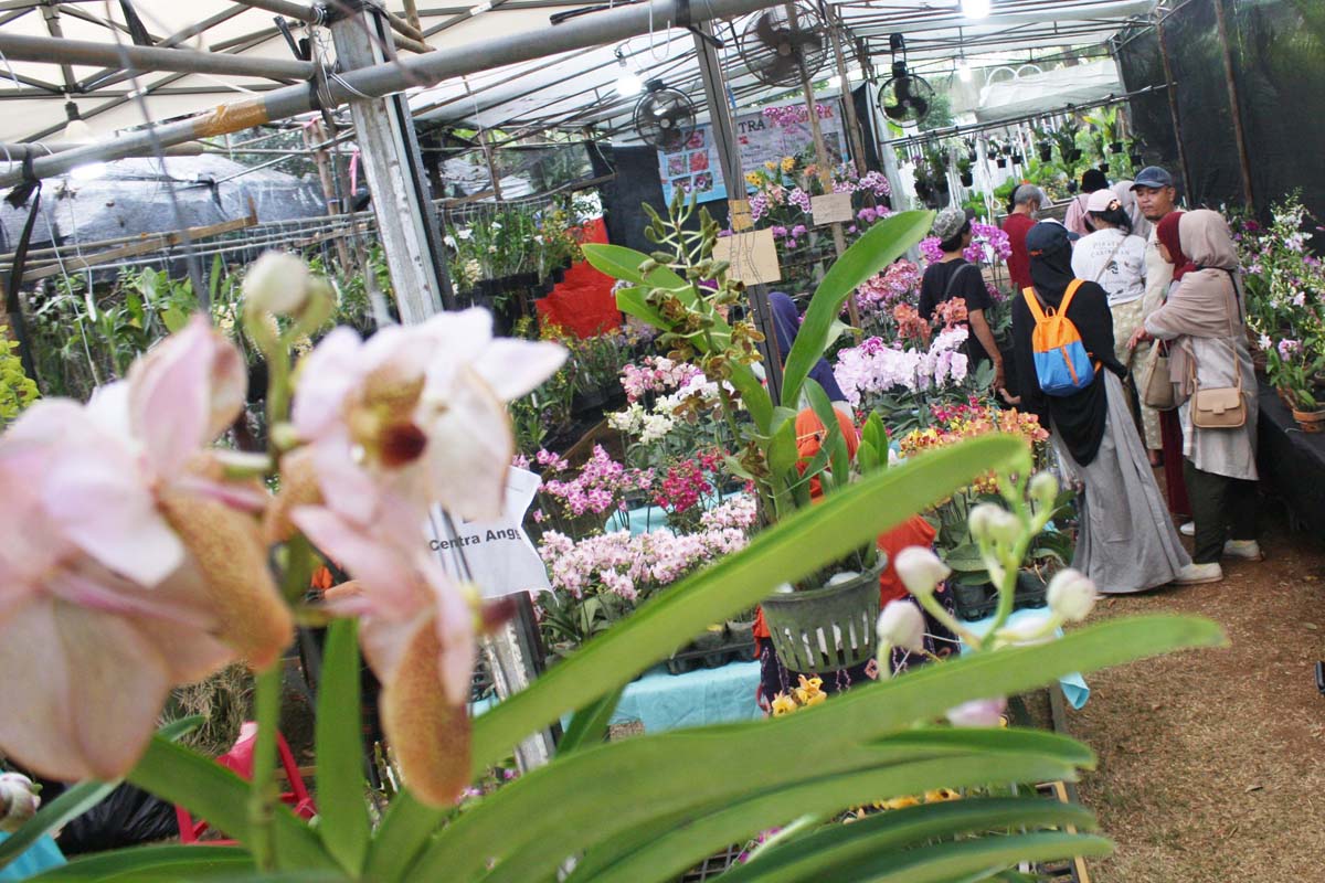 Hari Cinta Puspa dan Satwa Nasional dirayakan setiap 5 November.