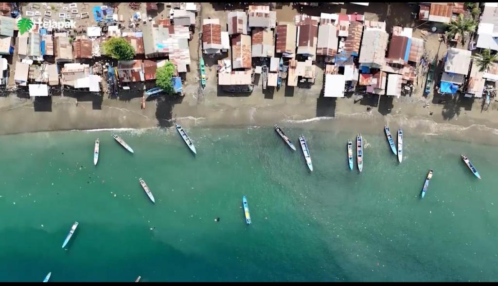 LSM Perkumpulan Telapak Nilai Dampak dari Pertambangan di Pulau Obi