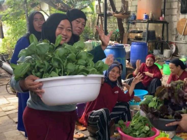 Warga panen sayruan hasil sistem hidroponik yang terintegrasi dengan Rainwater Harvesting 