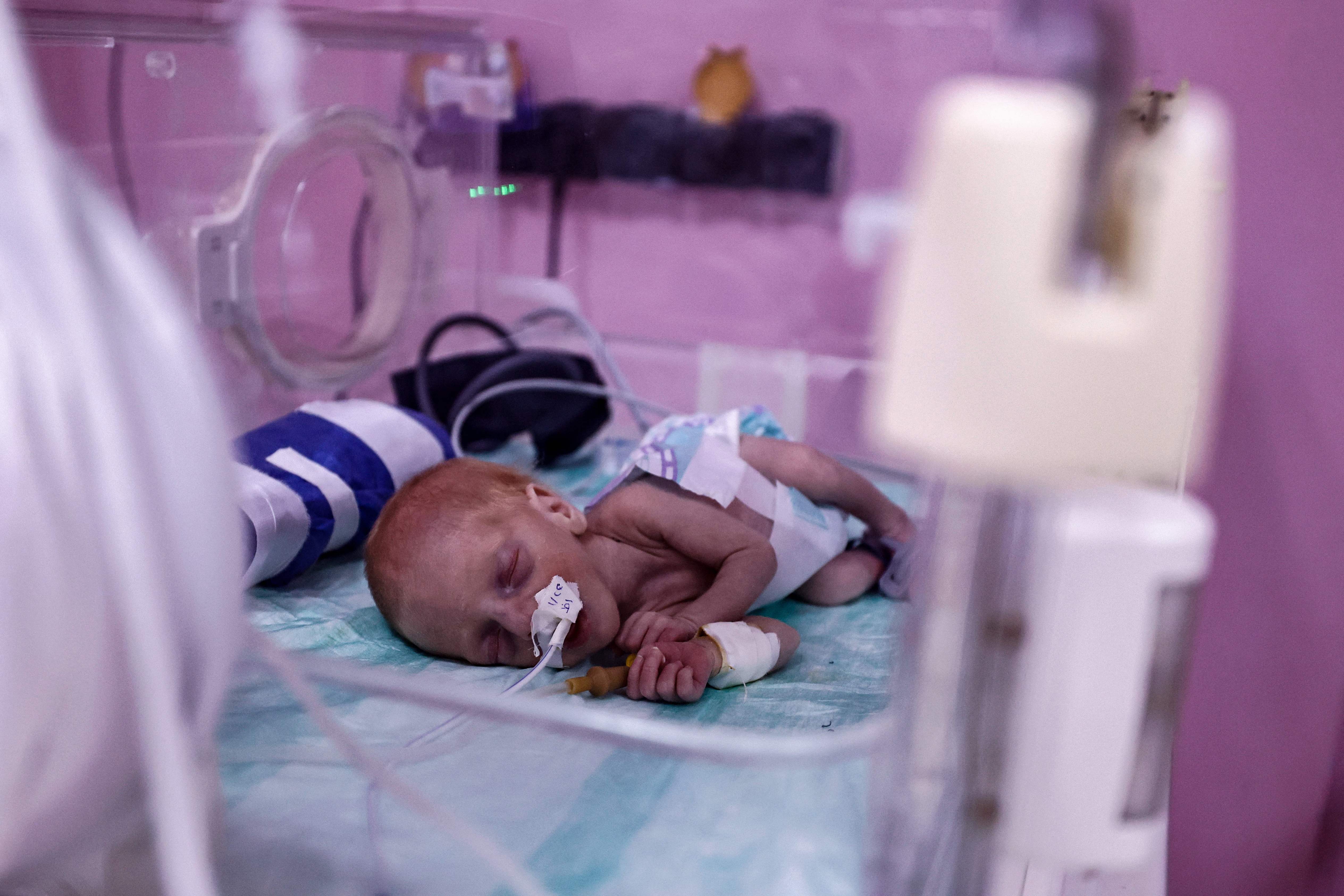 Bayi prematur Palestina yang berhasil dievakuasi ke Mesir.