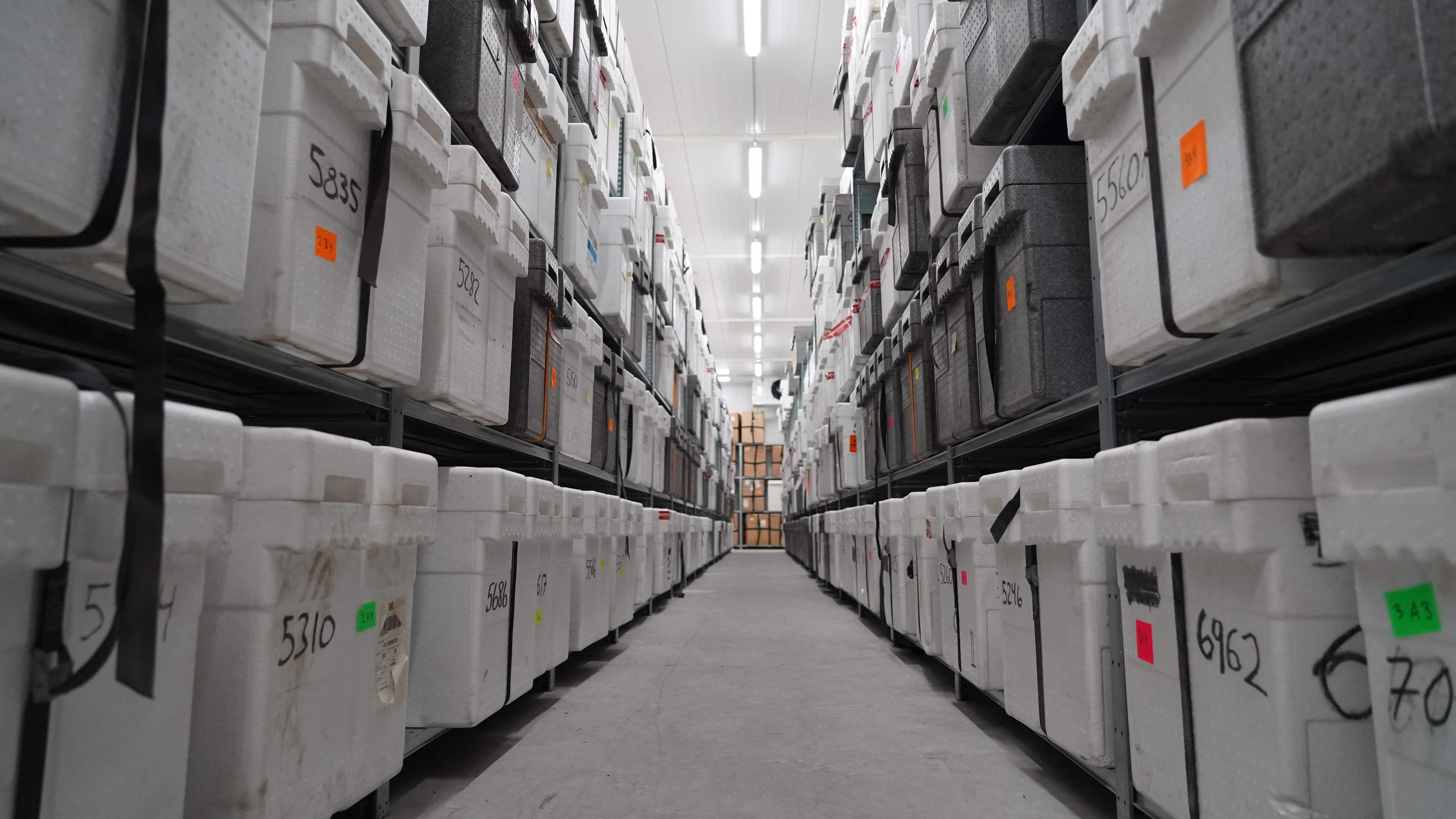 Ice Core Archive, sebuah freezer (ruang pendingin) raksasa di Kopenhagen, Denmark, menampung es sepanjang 25 kilometer (15 mil).