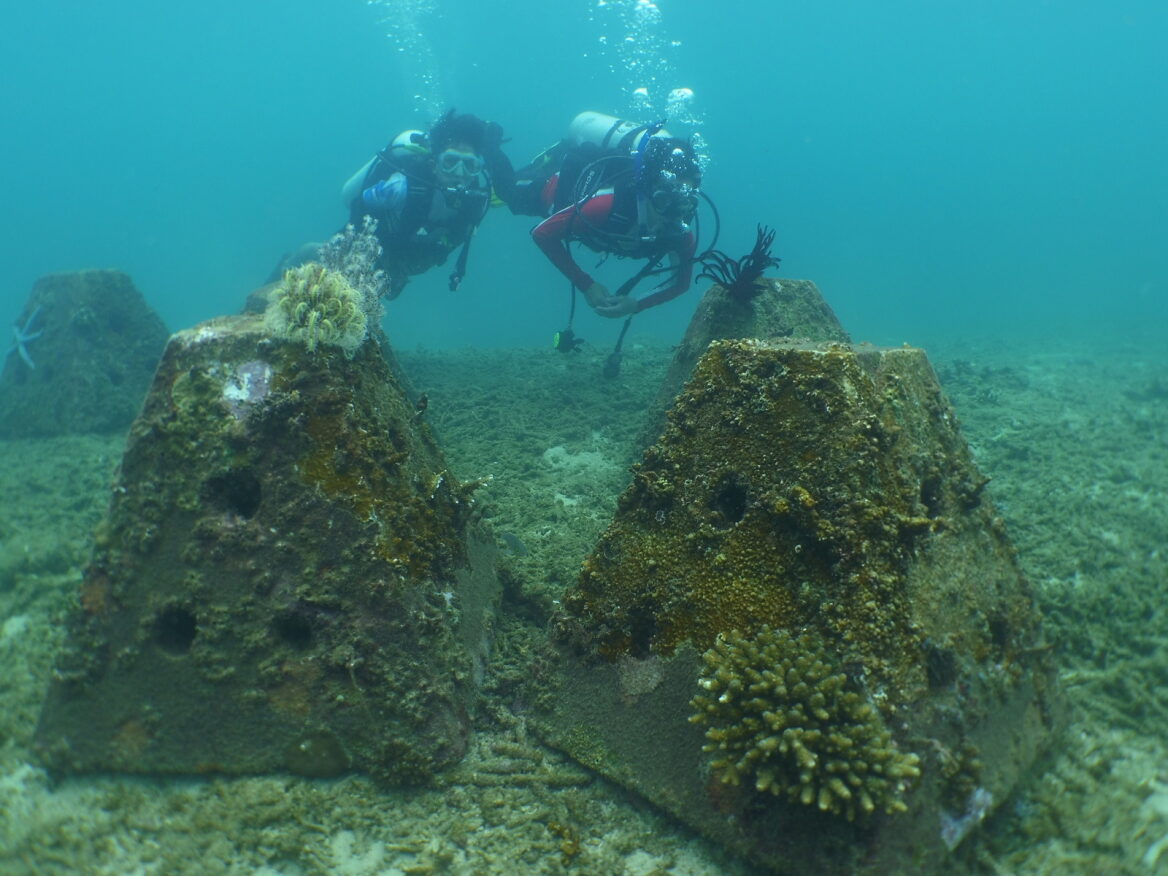 Pelestarian terumbu karang melalui Program Jaga Pesisir Kita dari Pertamina Hulu Sanga-Sanga