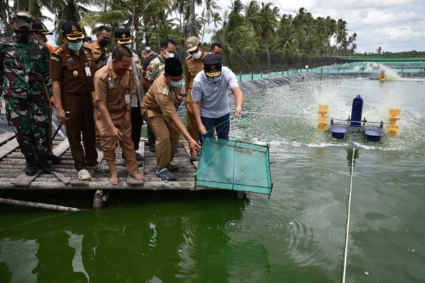 Gubernur Kelteng Sugianto Sabran mengunjungi Shrimp Estate di Desa Sungai Raja Kecamatan Jelai Kabupaten Sukamara. Kalteng. 