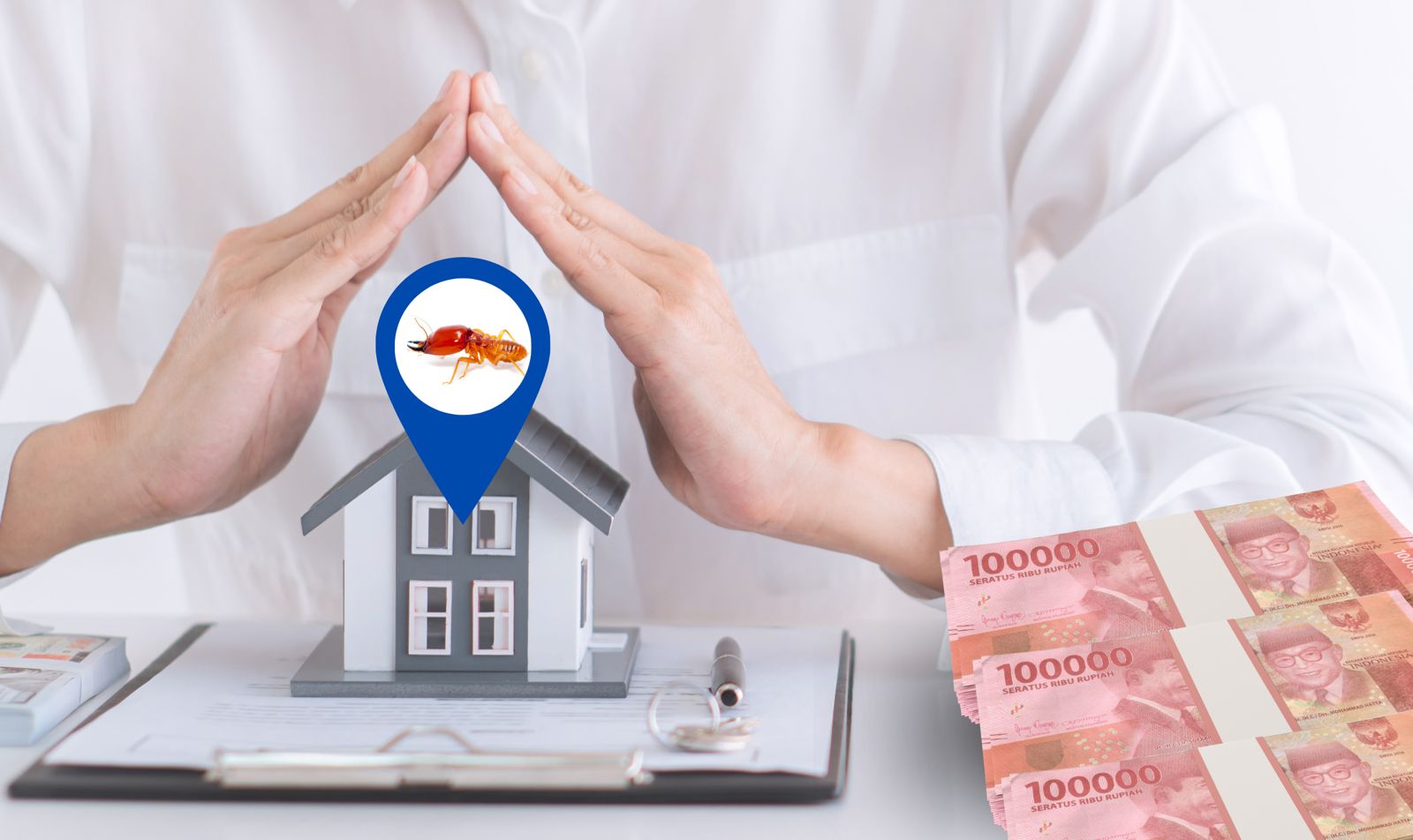 Ilustrasi. Perlu antisipasi serangan rayap yang bisa merusak bagian rumah, furniture atau perabotan lainnya di rumah.