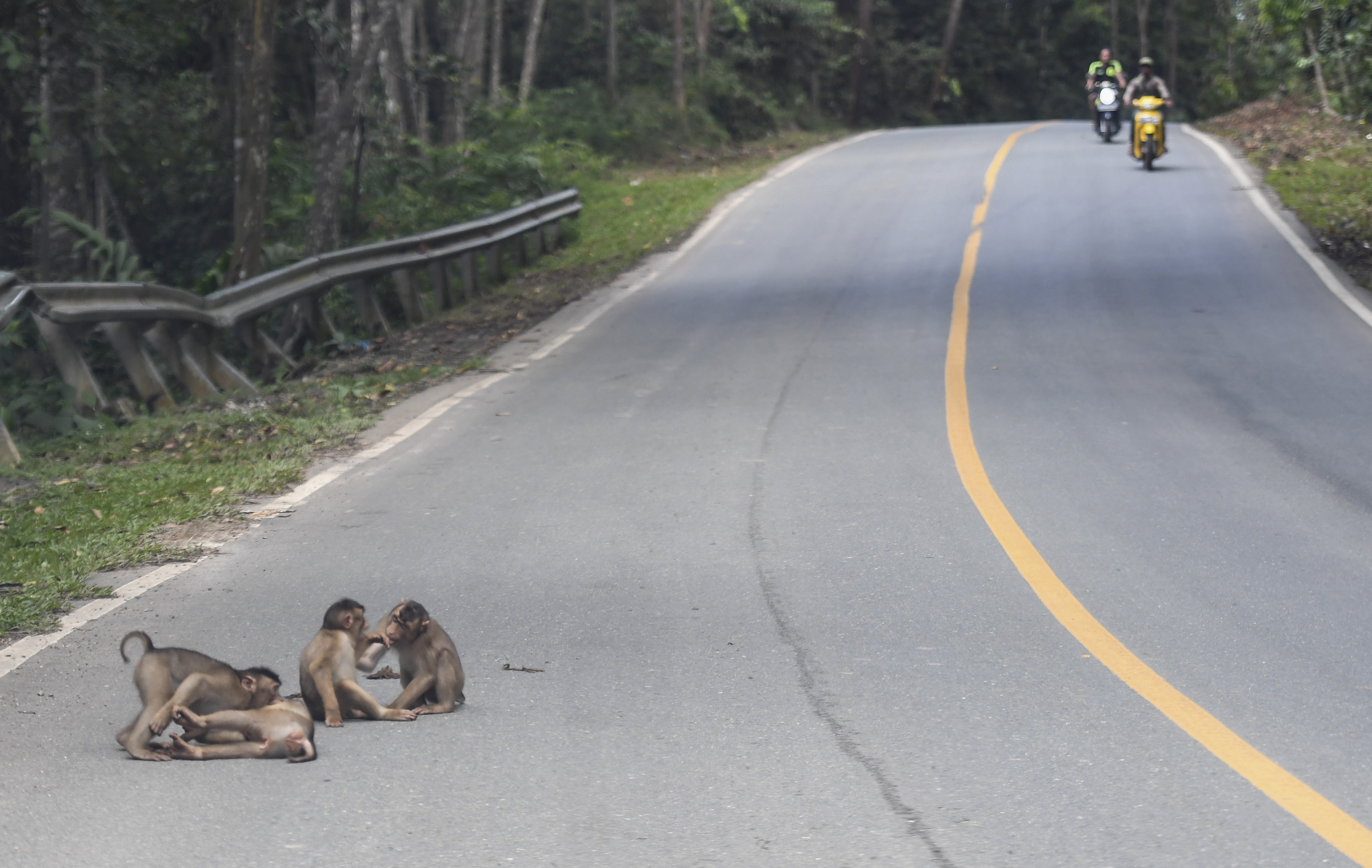 Ilustrasi jalan penghubung ke IKN.