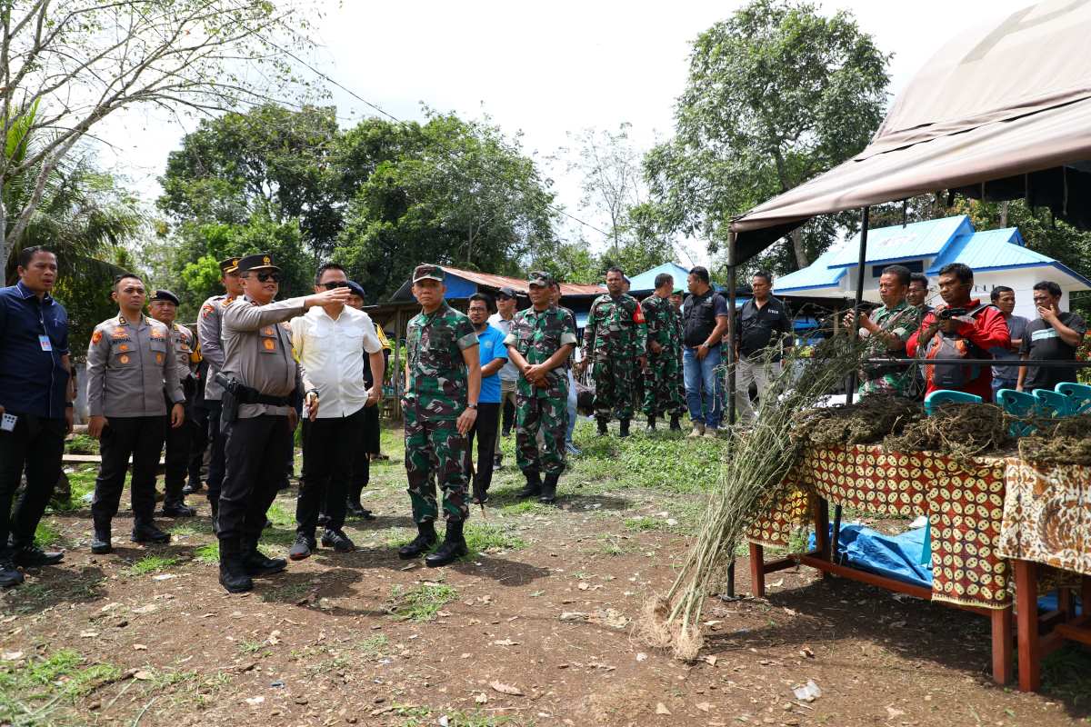 Polda Sumut menemukan 150 Ha ladang ganja menggunakan citra satelit dan berhasil memusnakan separuhnya.