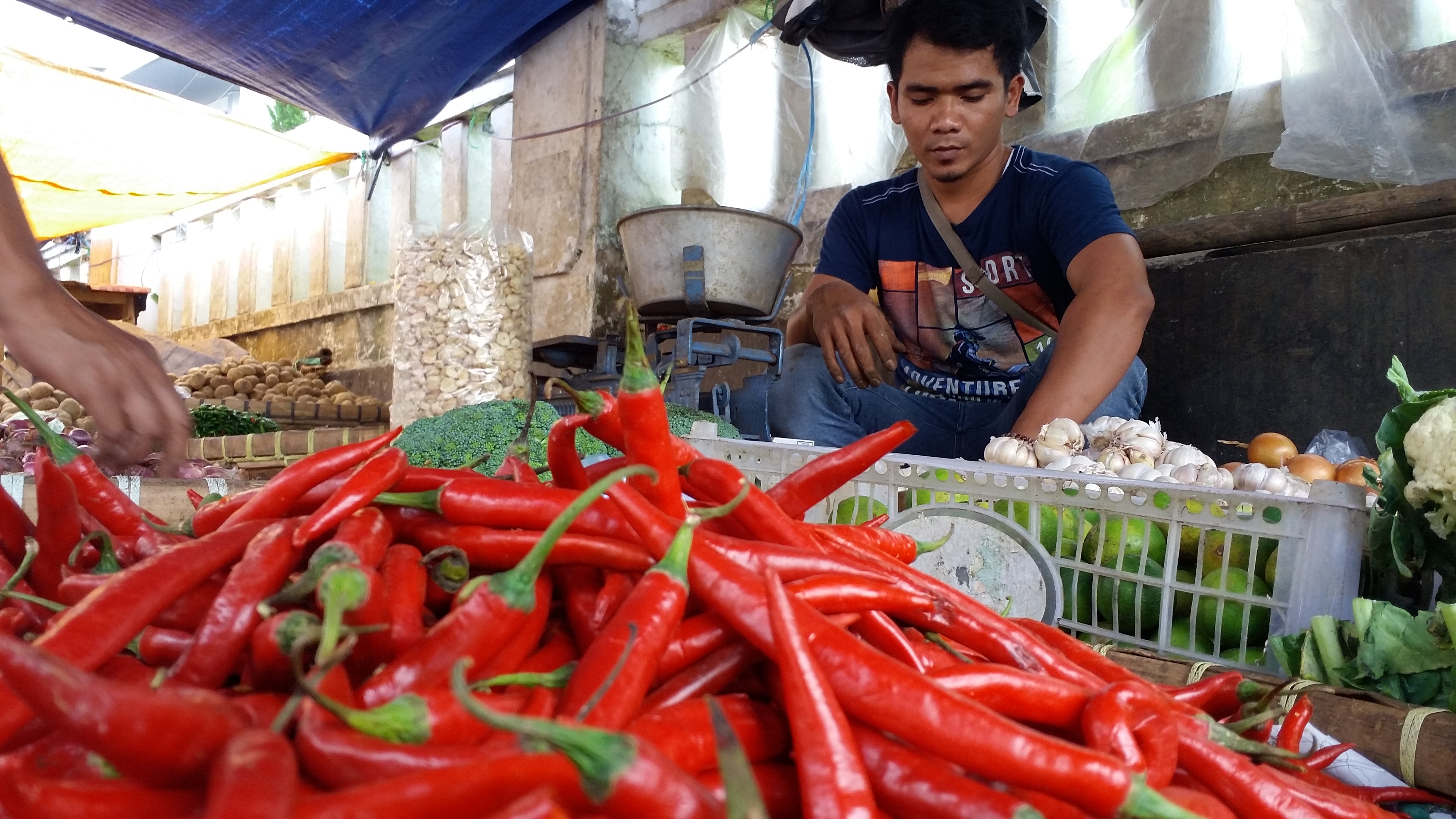 Seorang pedagang cabai tengah melayani pembeli