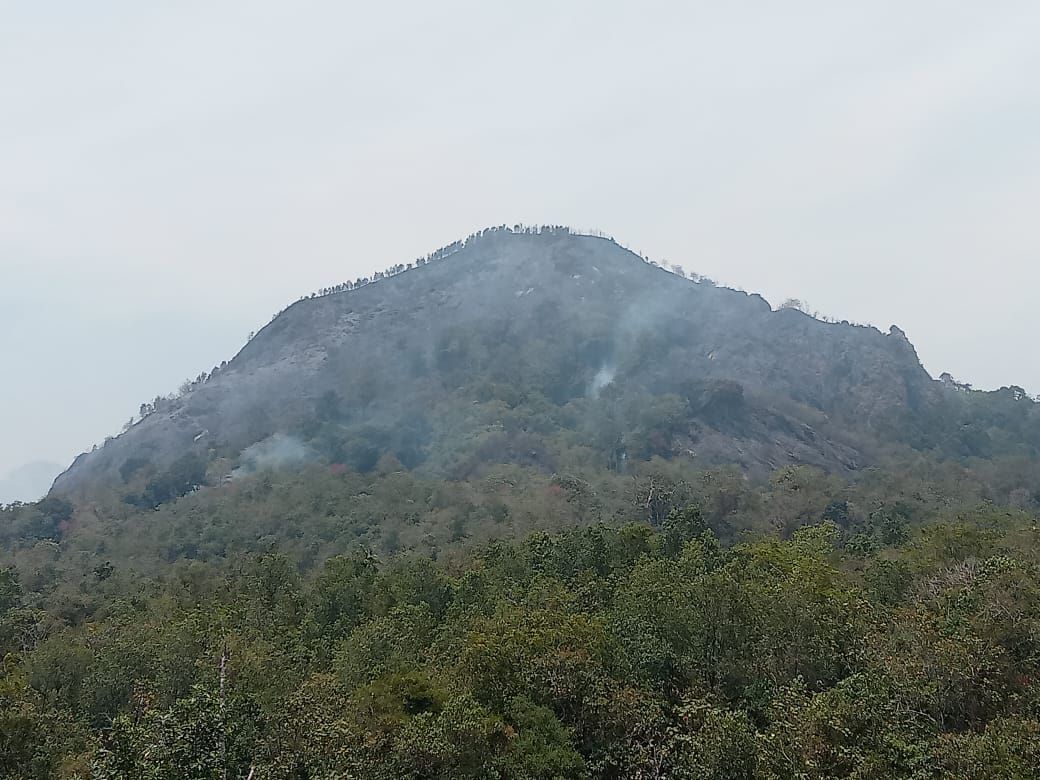 Musim Hujan Tiba, Jumlah Karhutla Menurun