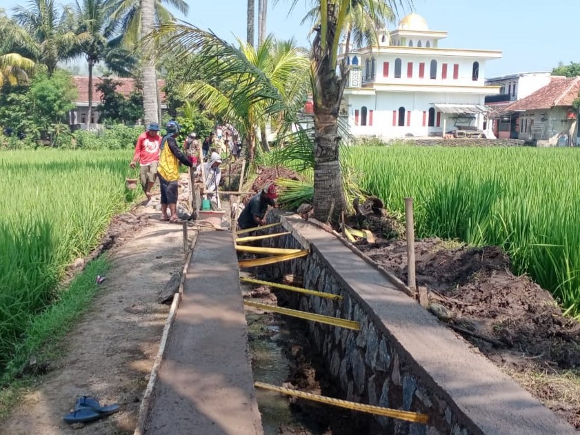 Sejumlah warga di Kampung Sukamanah, Kabupaten Cianjur Jawa Barat, mengerjakan pembangunan irigasi tersier.