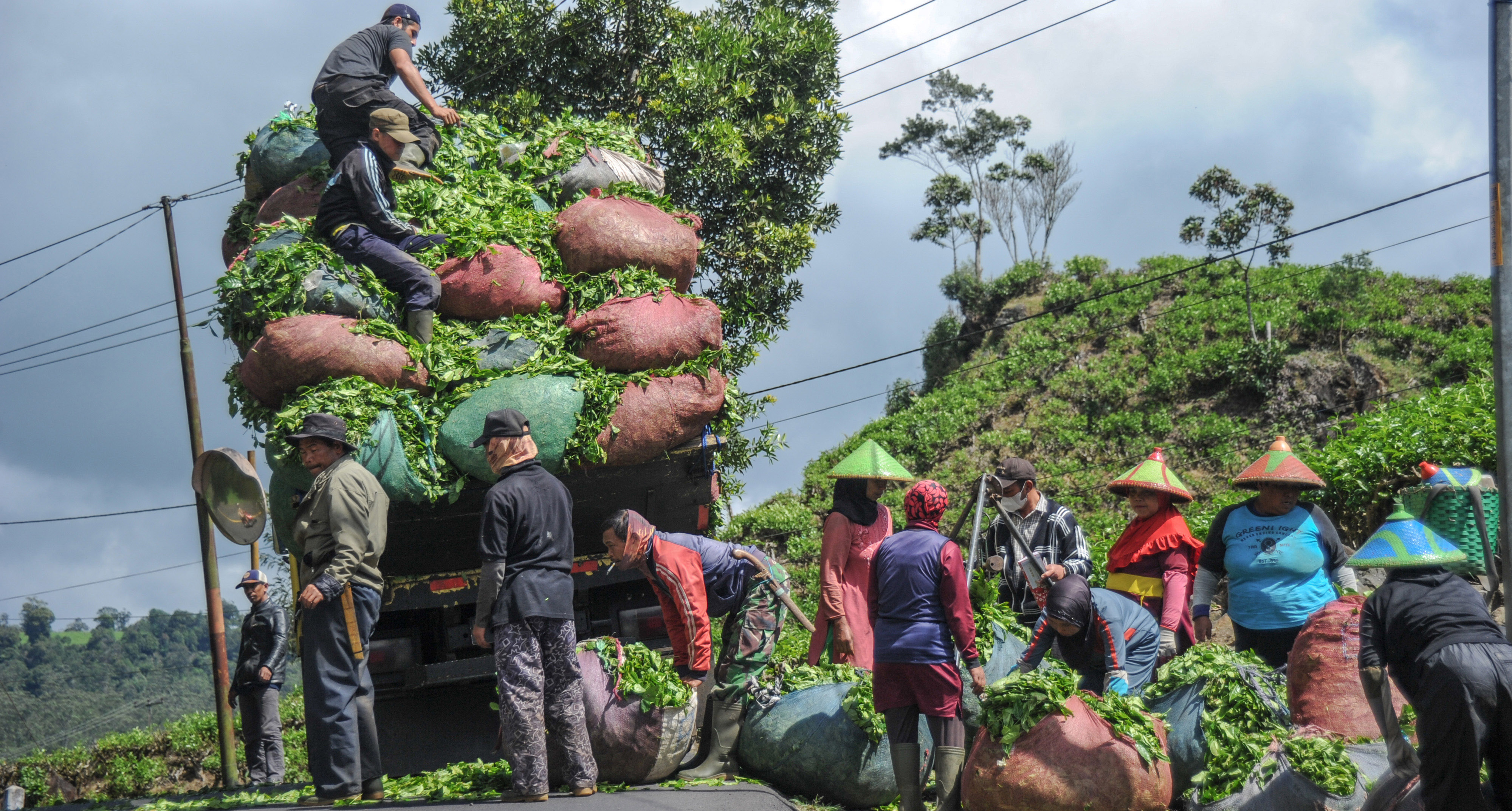 Tingkat Pengangguran Terbuka di Kabupaten Bandung Menurun