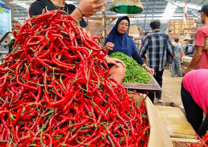 Harga cabai rawit merah