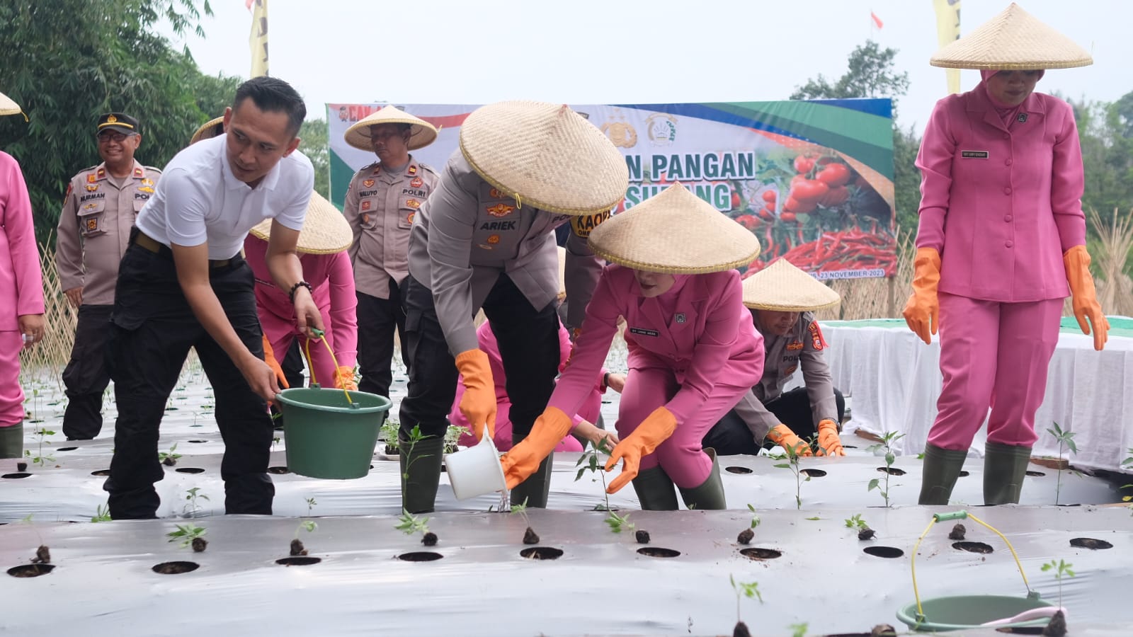 Kapolres Subang bersama anggota dan Bhayangkari melakukan penanaman cabai di lahan kosong