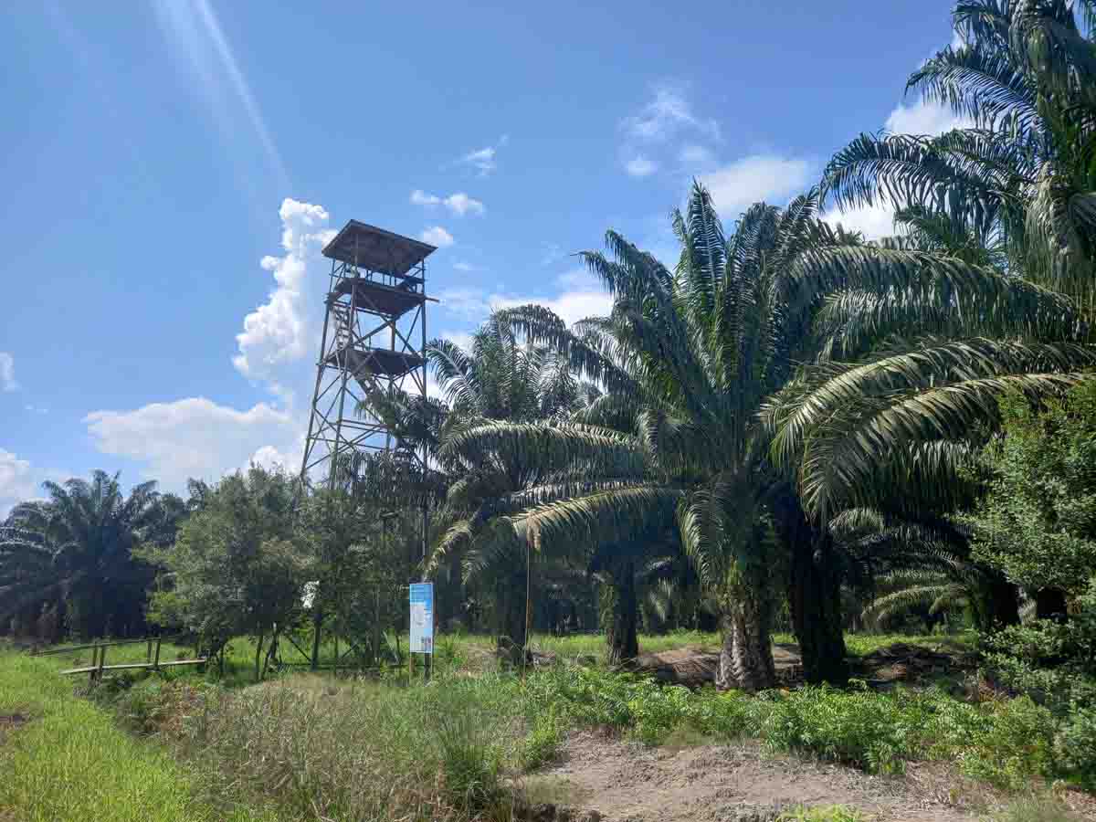 GAPKI Kalimantan Selatan mengklaim tidak ada lahan HGU anggotanya yang mengalami karhutla.