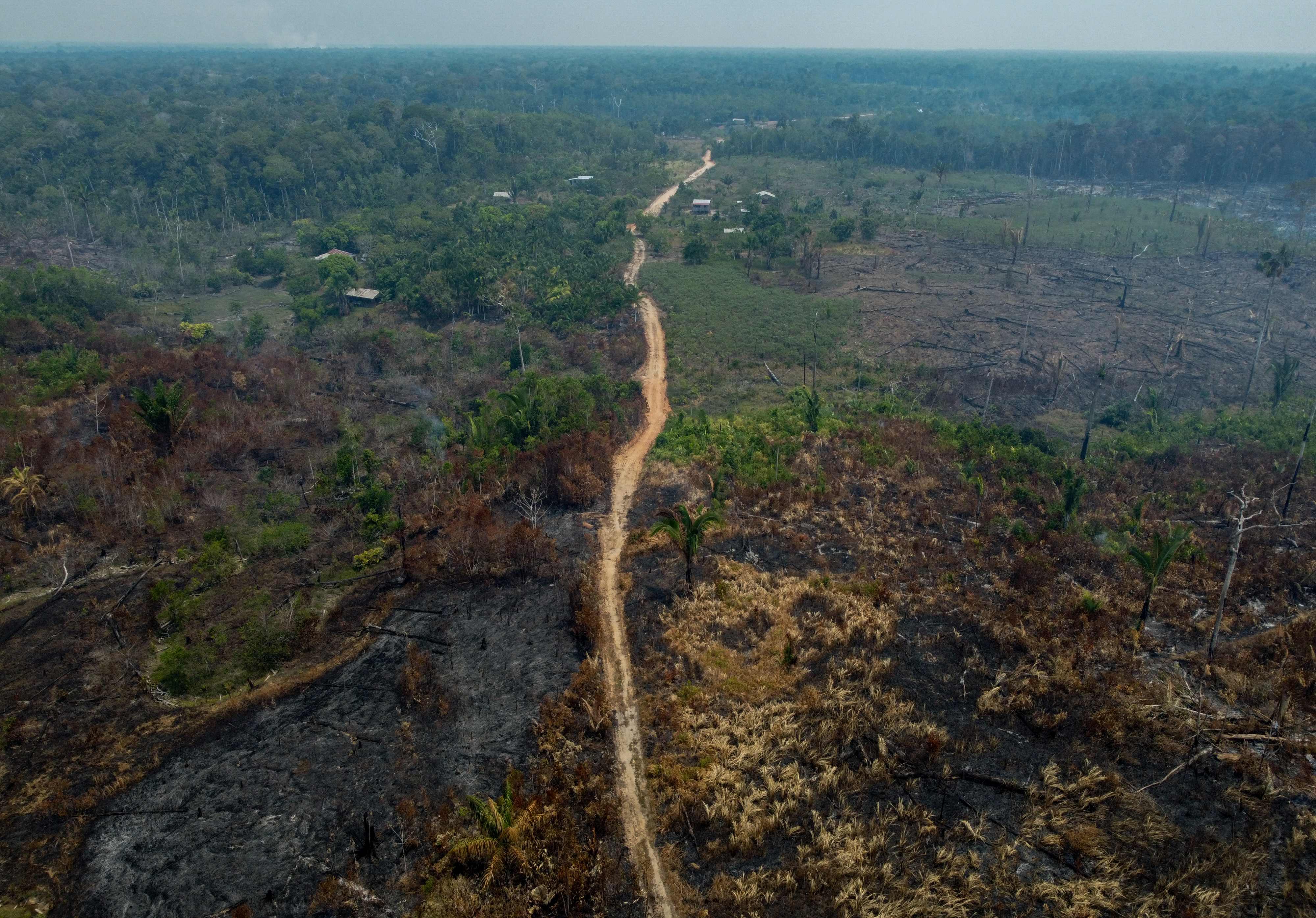  Kawasan hutan Amazon yang terbakar. Penggundulan Hutan Amazon di Brasil Turun 22% dalam Setahun