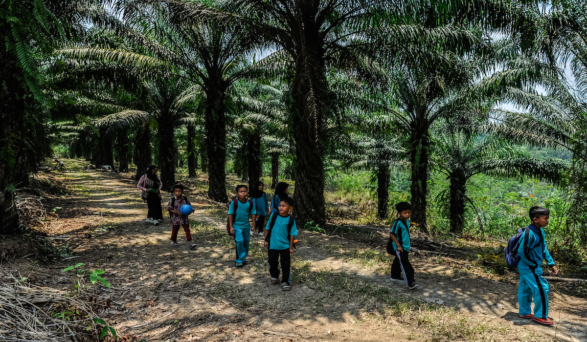 Bappebti Usulkan Insentif Fiskal untuk Tarik Minat di Bursa Kelapa Sawit