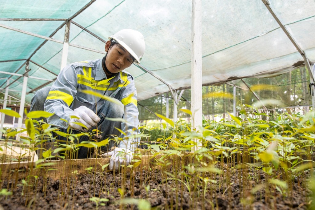 Kegiatan environment, social & governance (ESG) yang diselenggarakan PT ABM Investama Tbk (ABMM) dalam unit bisnisnya.