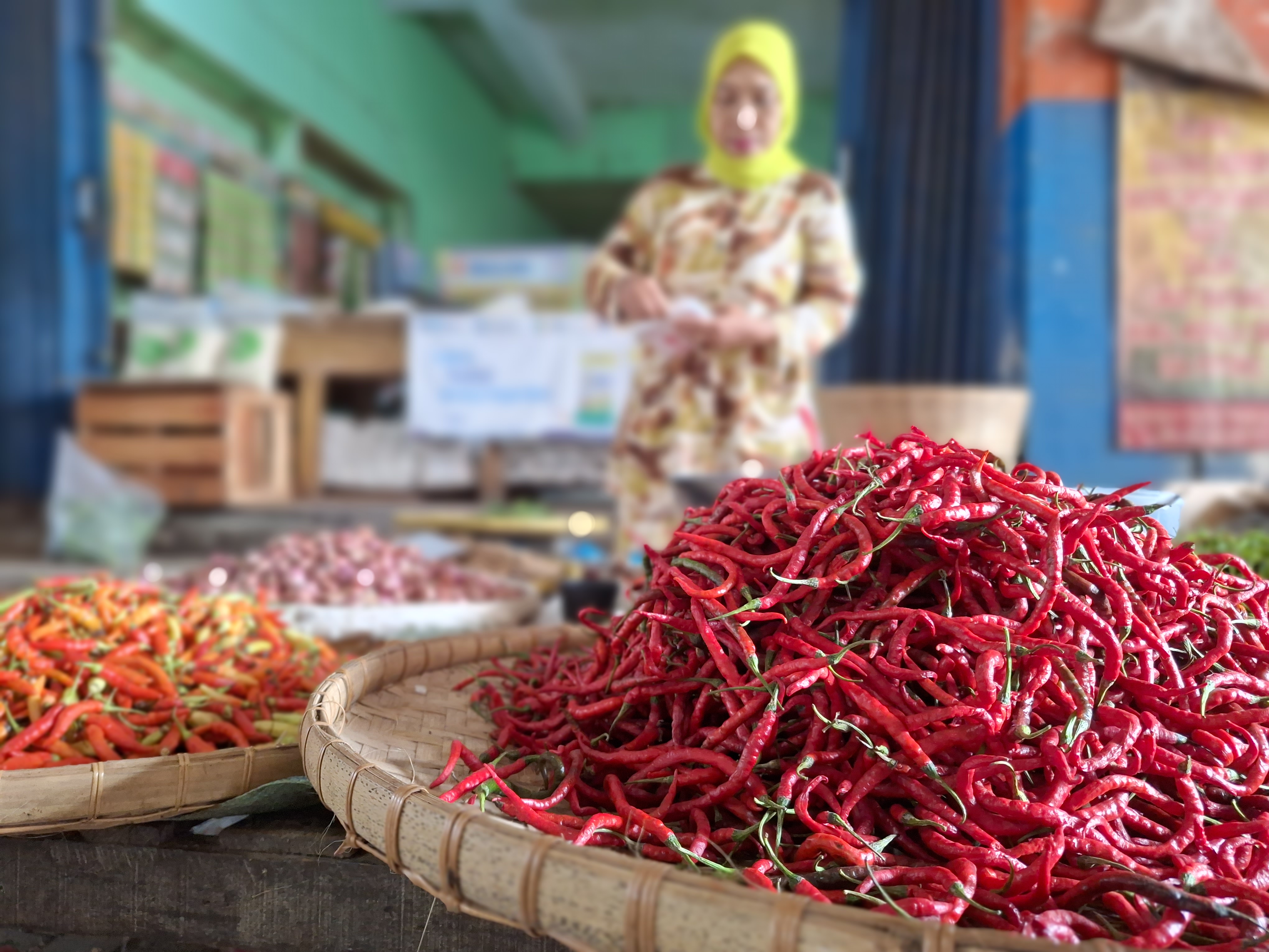 Harga Cabai di Luar Jawa Terus Melonjak