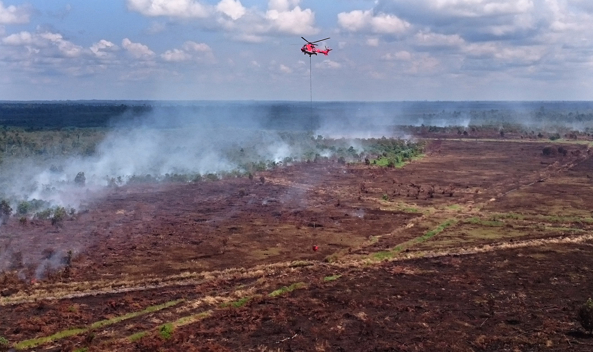 Ilustrasi - Walhi mencatat 14 perusaan yang areal konsesinya terbakar di wilayah Kalimantan Selatan.
