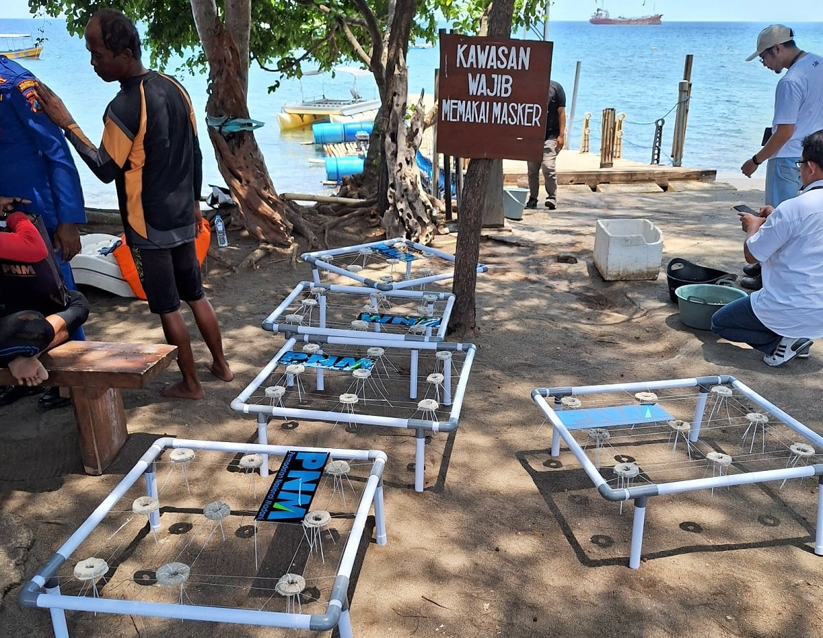 PNM Banyuwangi melakukan aksi konservasi terumbu karang
