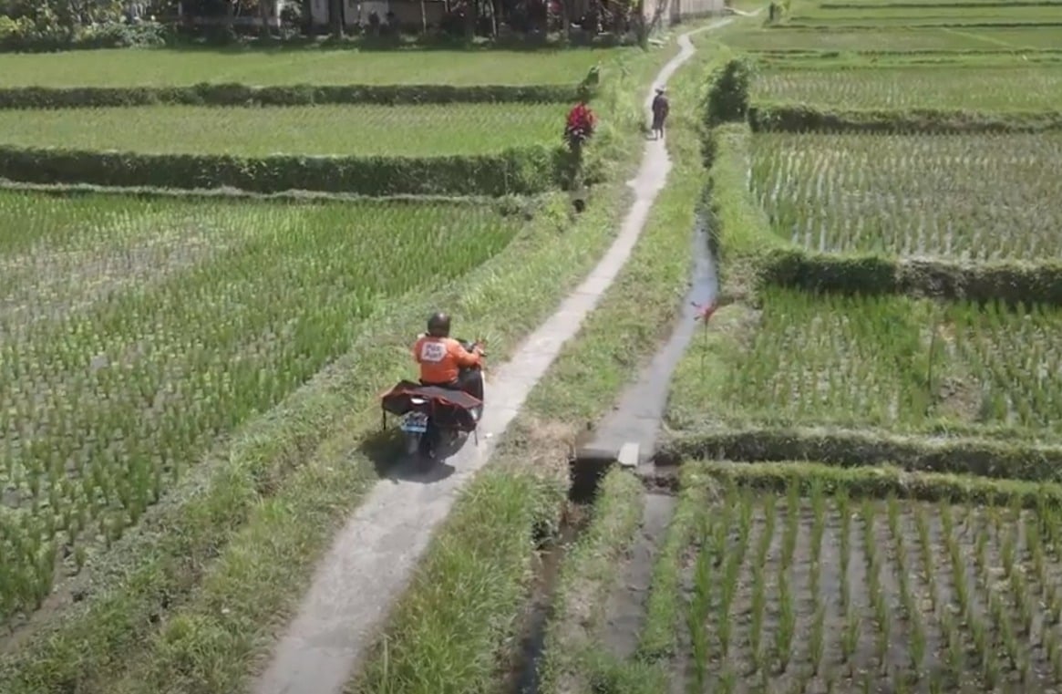 Petugas Pos Indonesia dari Kantor Cabang Pembantu Ubud menyusuri jalan desa dengan sepeda motor listrik. 