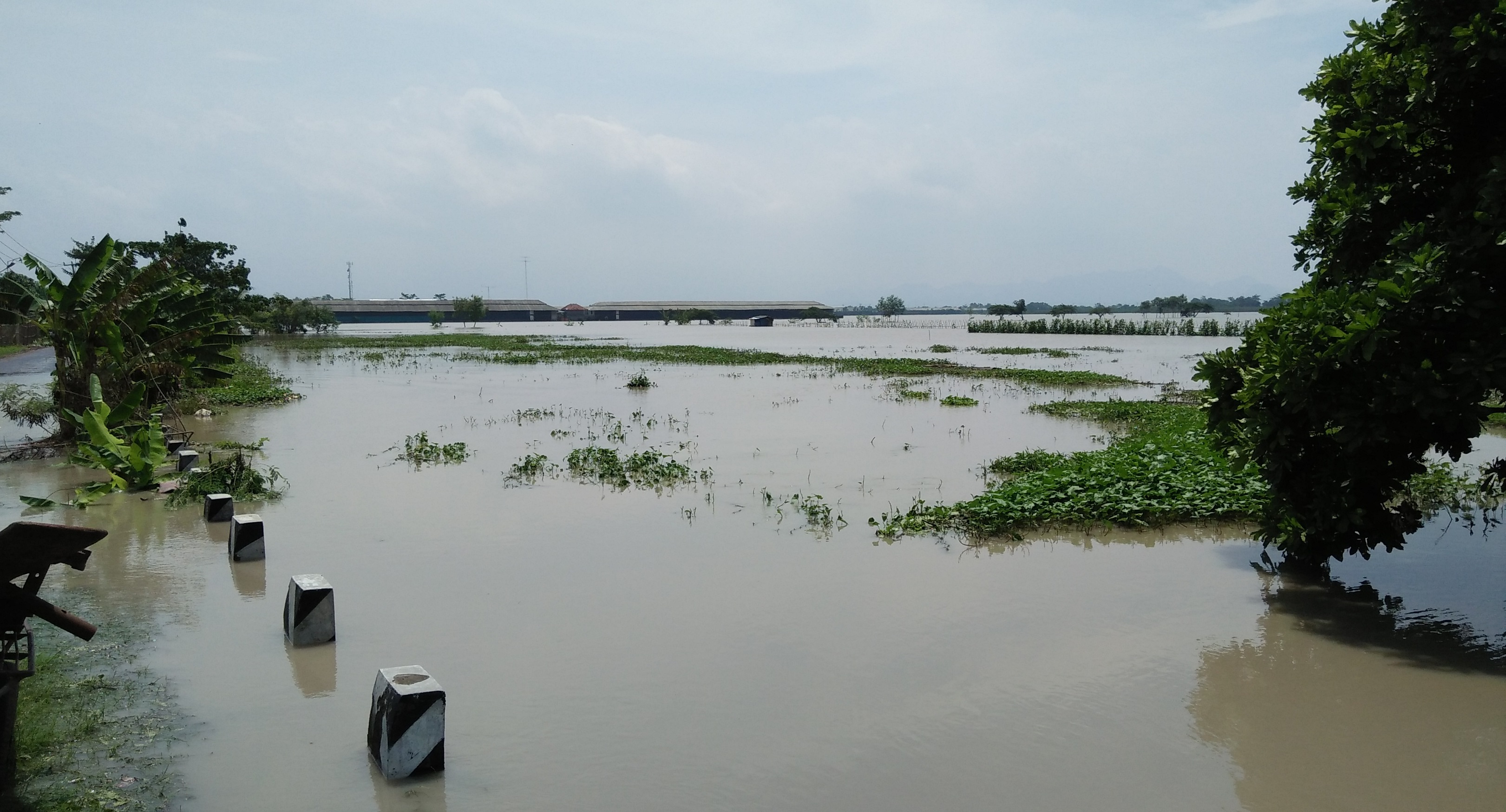 Banjir di wilayah Cirebon