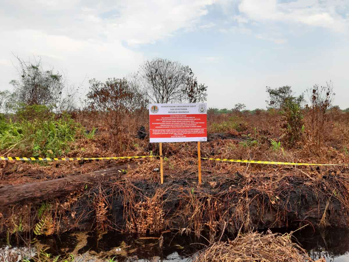 PT KU Harus Bayar Ganti Rugi Rp25 Miliar Akibat Karhutla