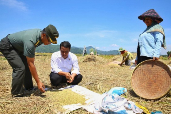 Menteri Pertanian Andi Amran Sulaiman (kedua dari kiri).