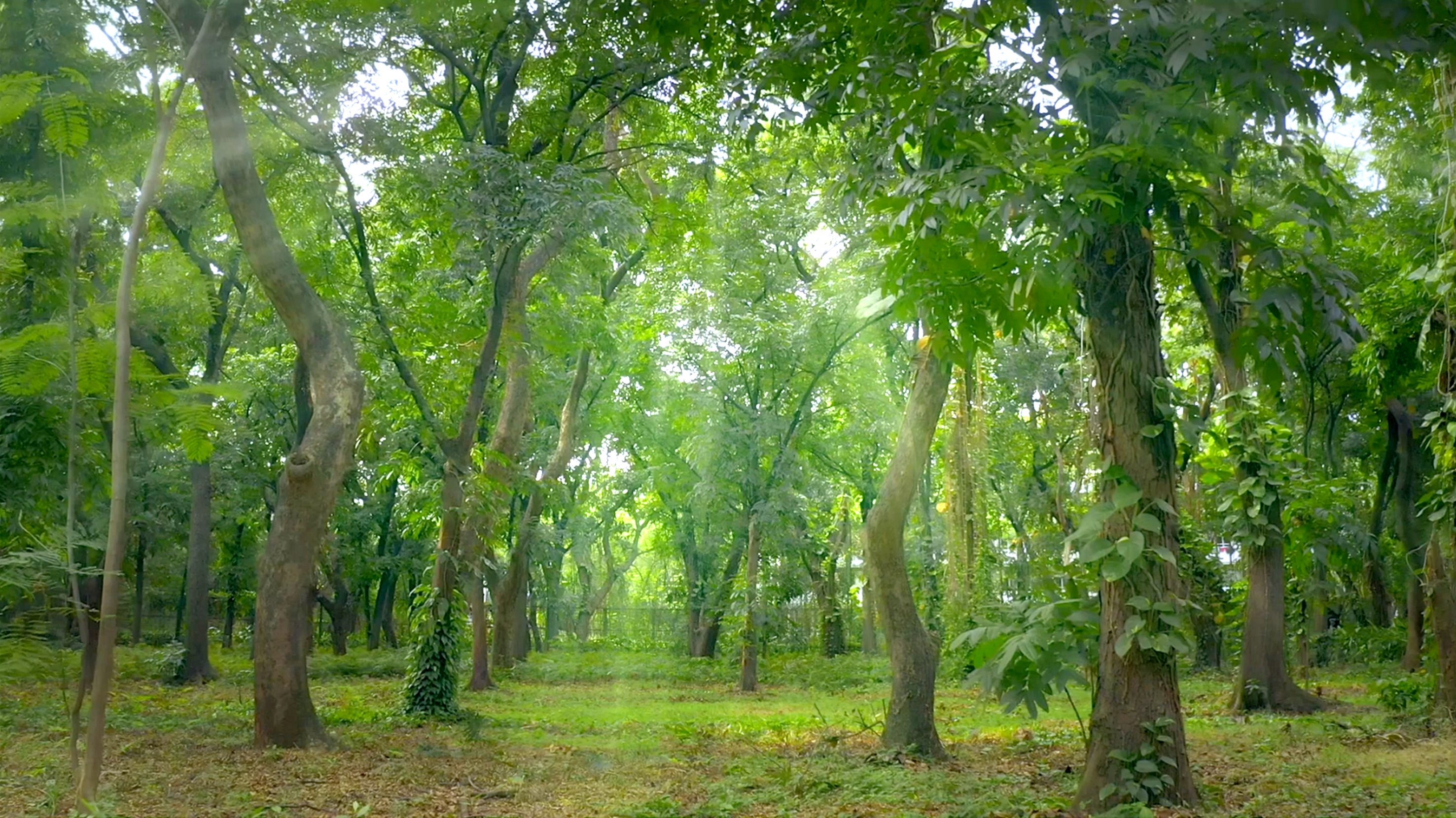 Industri Baja Nasional Siap Hasilkan Baja Emisi Nol Bersih