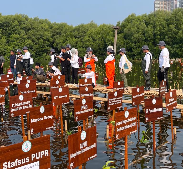Badan POM dan IPMG menggelar kegiatan penanam pohon mangrove di di Taman Wisata Alam Mangrove Angke Kapuk, Jakarta Utara.