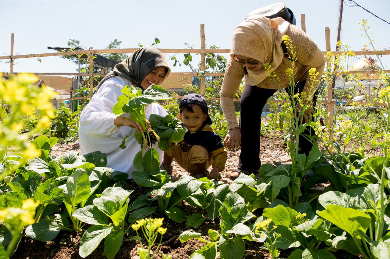 Pemkot Bandung Tebar Bantuan Bibit Cabai dan Bawang Merah