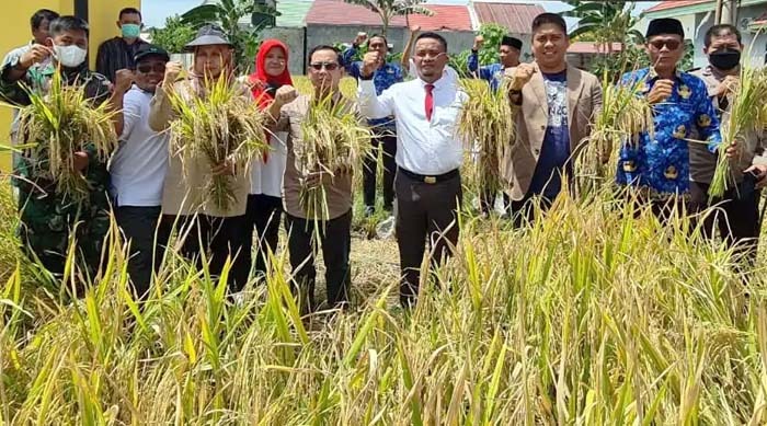 Kepala Dinas TPHP Pemkab Bone, Andi Asman Sulaiman (tengah) pada panen perdana Farmer Field Day (FFD) di Bone, Sulsel.