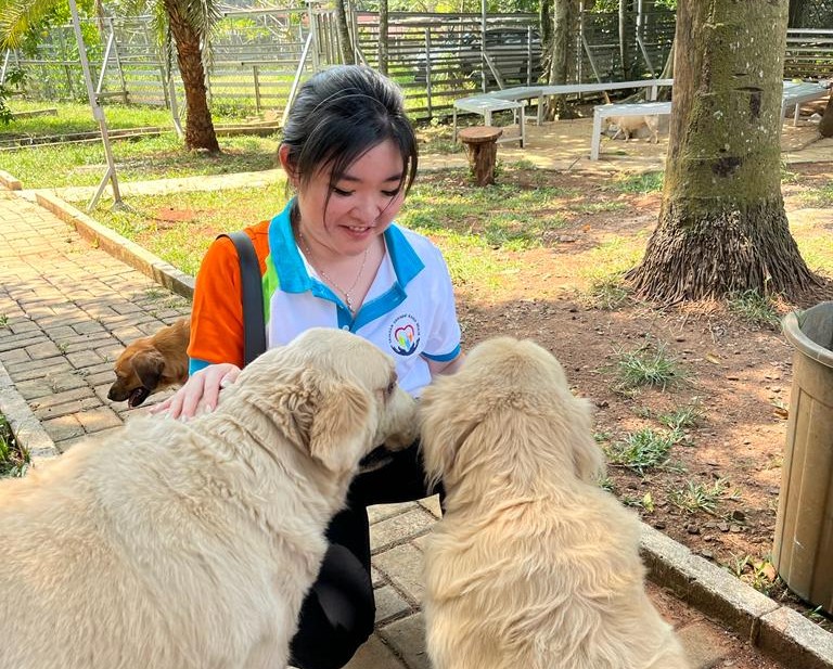 Aktivis Yayasan Sahabat Kasih Mulia sedang merawat hewan di shelter penampungan