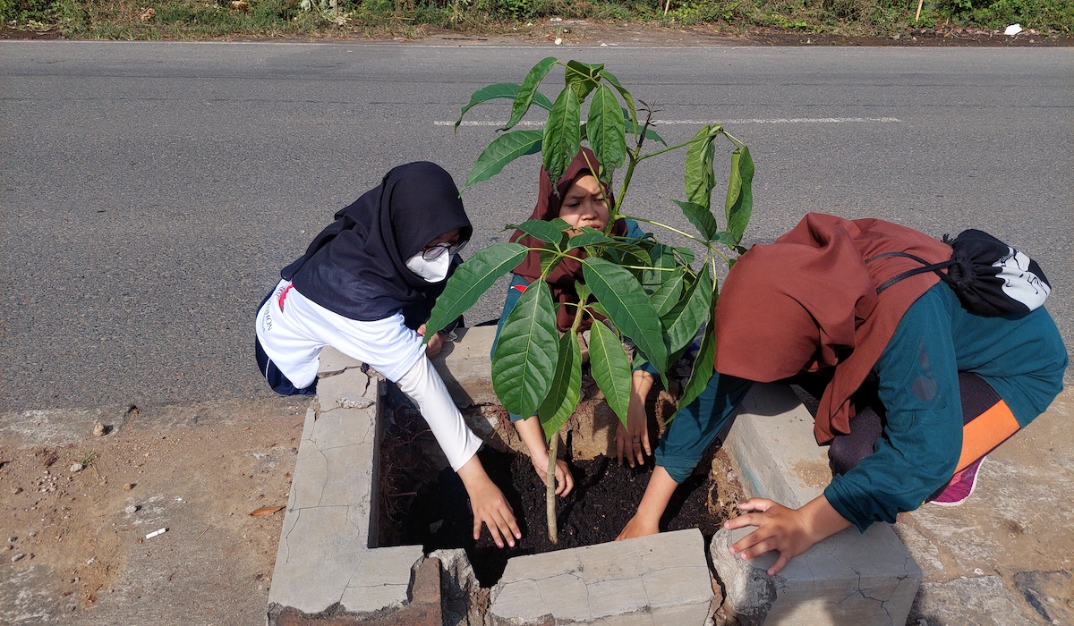 Heru Budi tanam pohon tabebuya di PIK