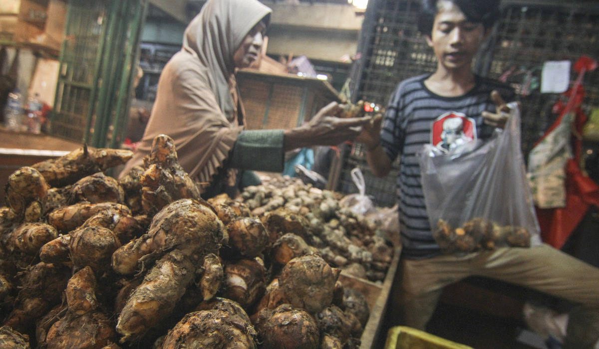 Calon pembeli memilih temulawak di Pasar Kramat Jati, Jakarta Timur.