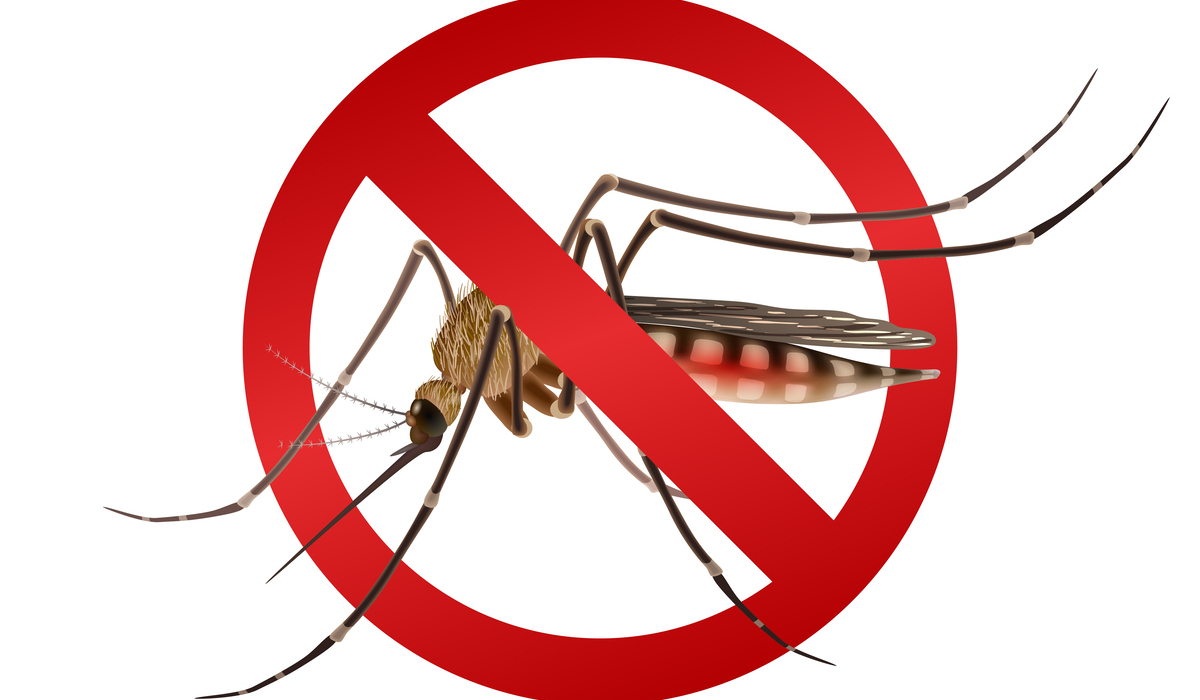 Meski Ditegaskan Aman, Bali Tetap Minta Penyebaran Nyamuk Wolbachia Ditunda