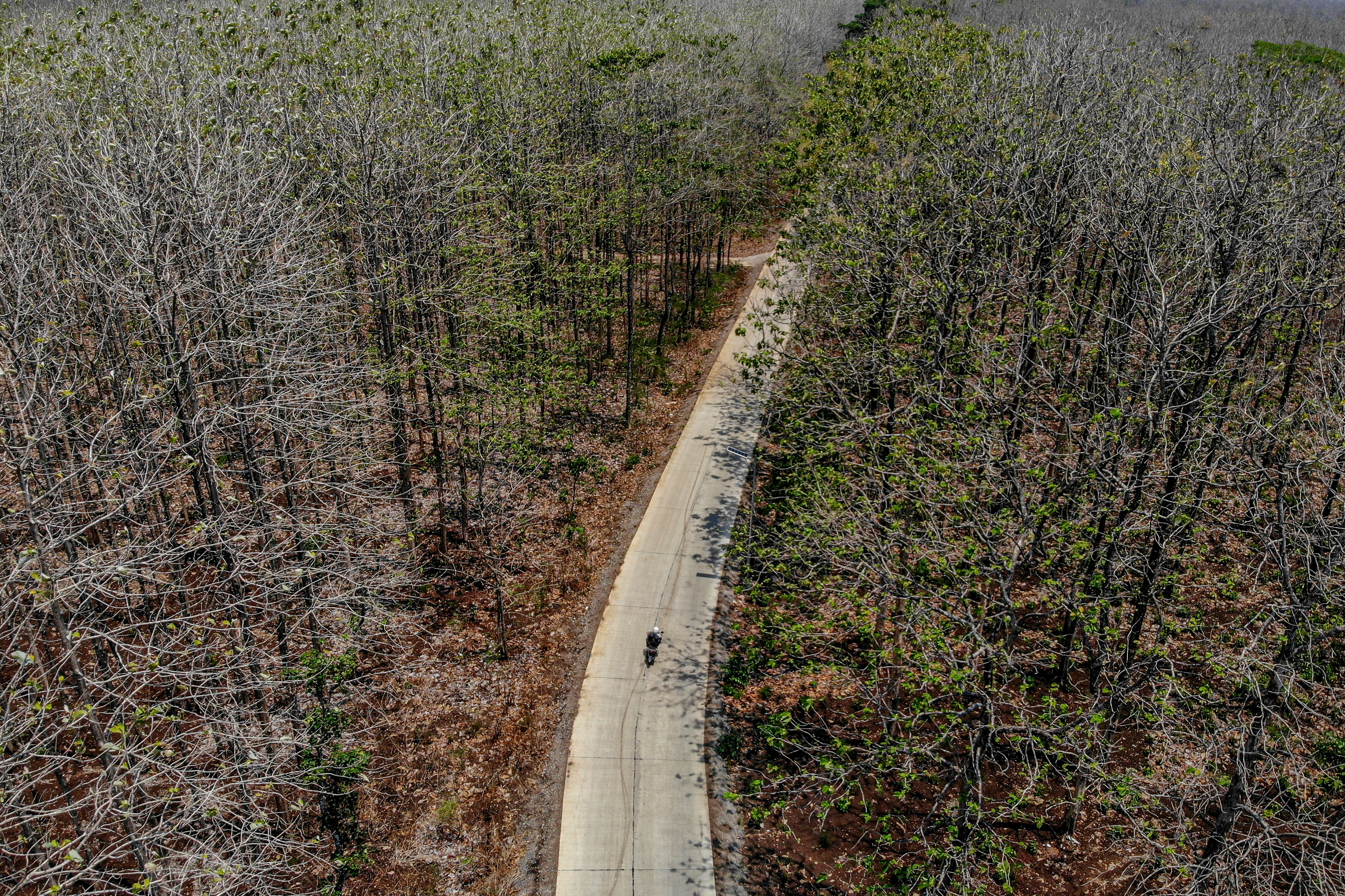 Foto udara pengendara melintasi hutan jati yang mengering di Dander, Bojonegoro, Jawa Timur, Jumat (27/10).