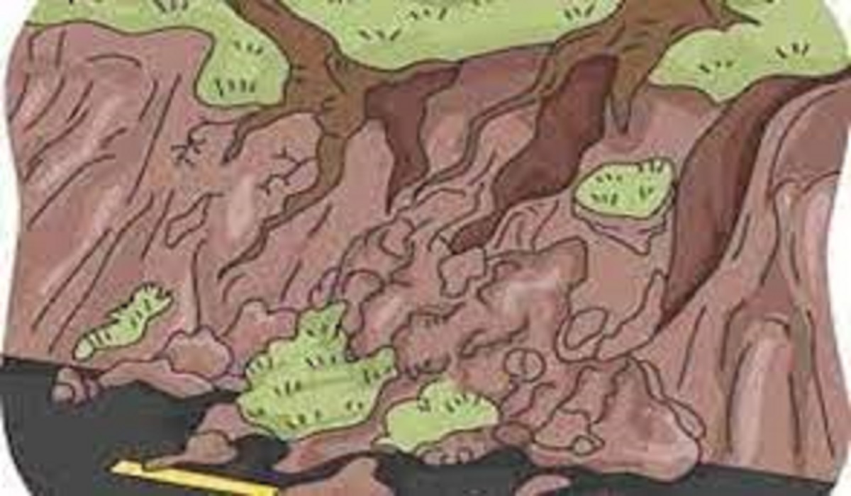 Satu Orang Meninggal Dunia Akibat Banjir dan Longsor di Kabupaten Lima Puluh Kota