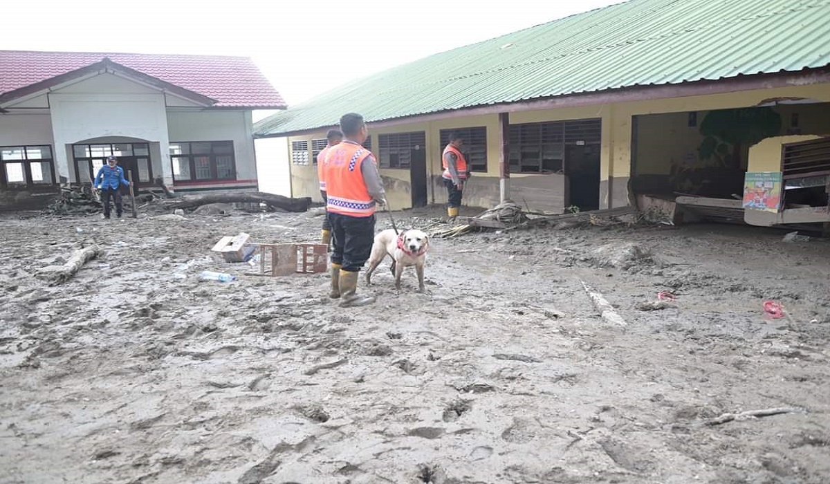 Wilayah Ini Perlu Waspadai Bencana Hidrometeorologi Sepekan Ke Depan